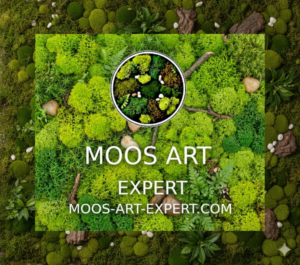 moos-art-expert